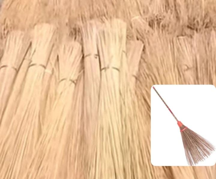 WhatsApp Image 2026-01-14 at 17.08