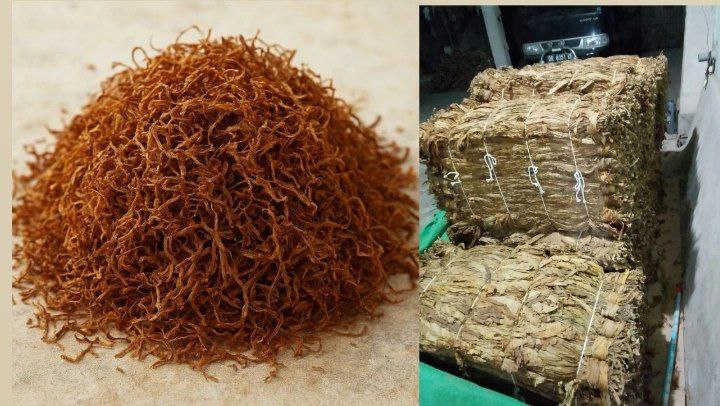 photo_2026-01-14 19.12